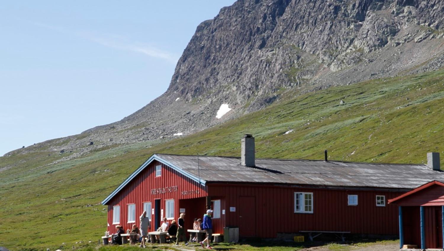 Prestholtseter - sommer
