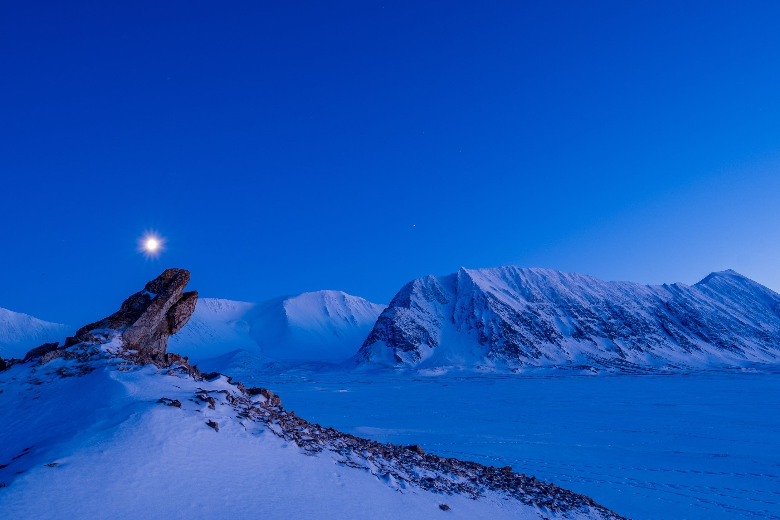 A snow-covered landscape covered in blue light with a bright moon in the sky