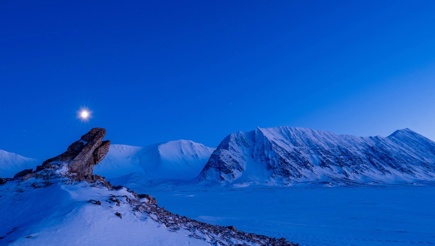 A snow-covered landscape covered in blue light with a bright moon in the sky