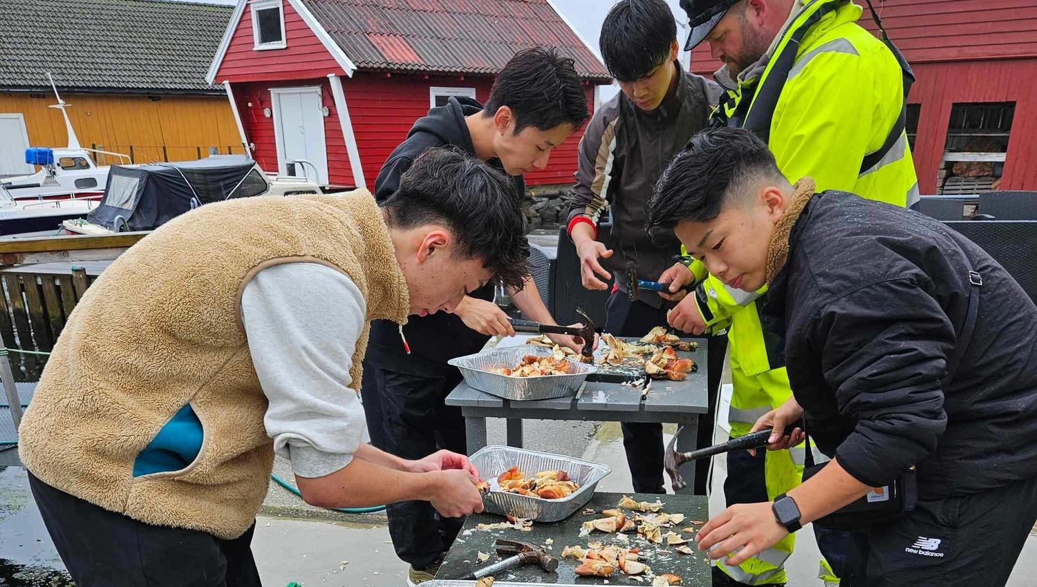 Øygarden Opplevelser
