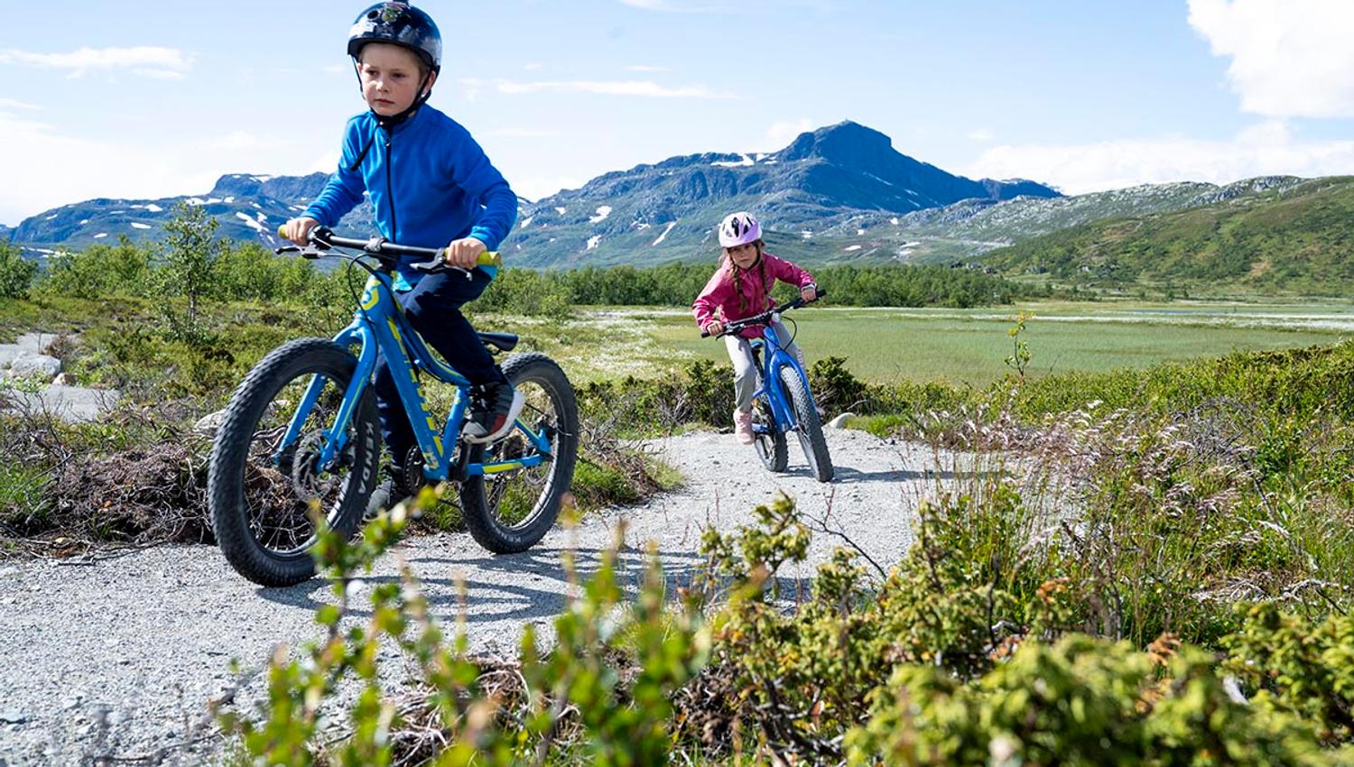 Children cycling the trails of Beitostølen Trail Arrena. Beautiful surroundings with Bitihorn in the background.