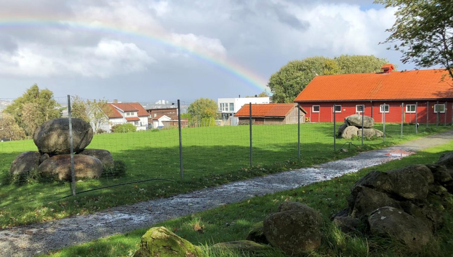 Gausel Fritidsgård is open for farm visits