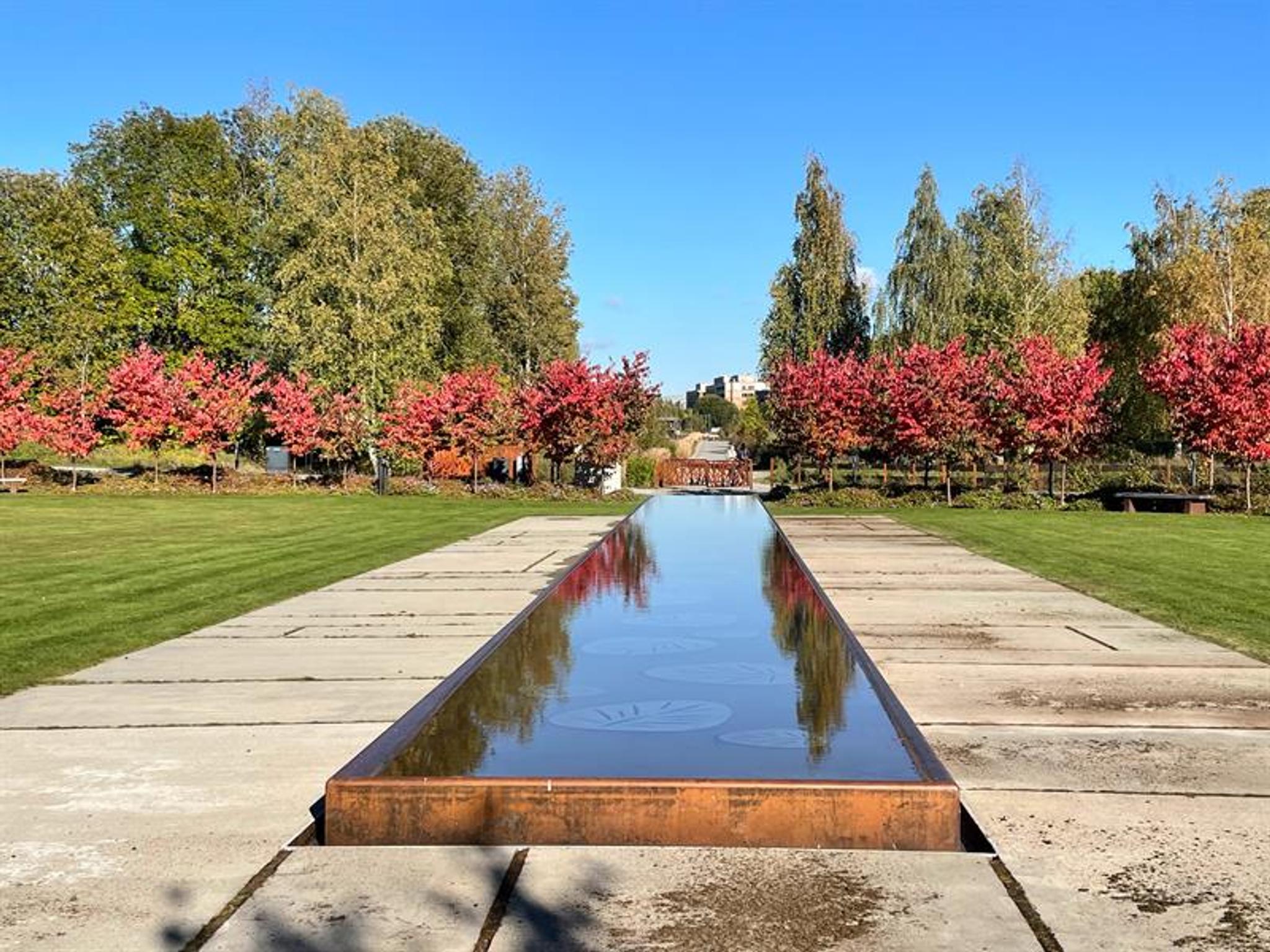 Water mirror and trees in autumn colors
