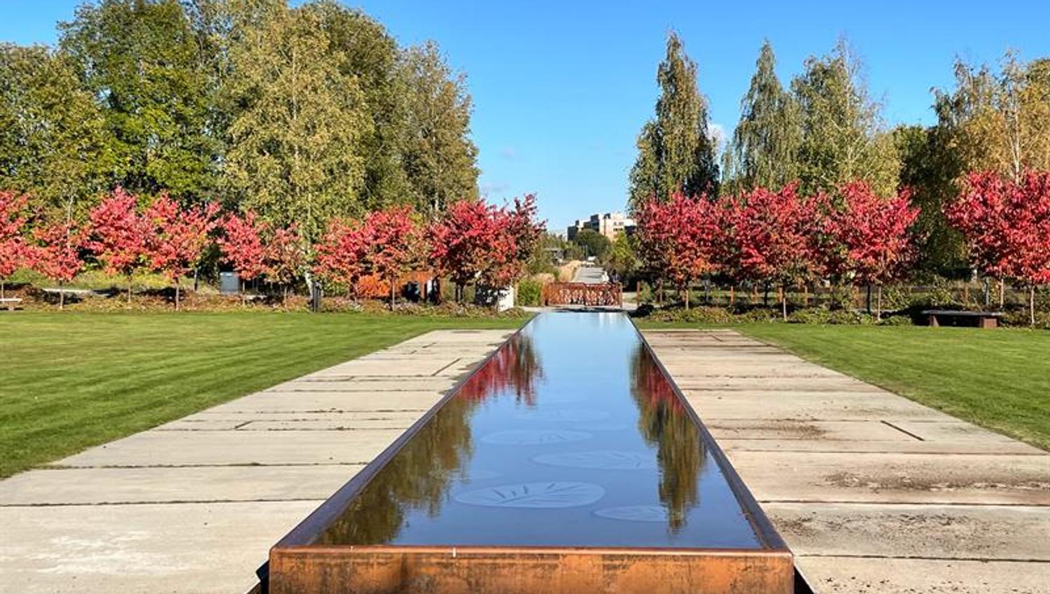 Water mirror and trees in autumn colors