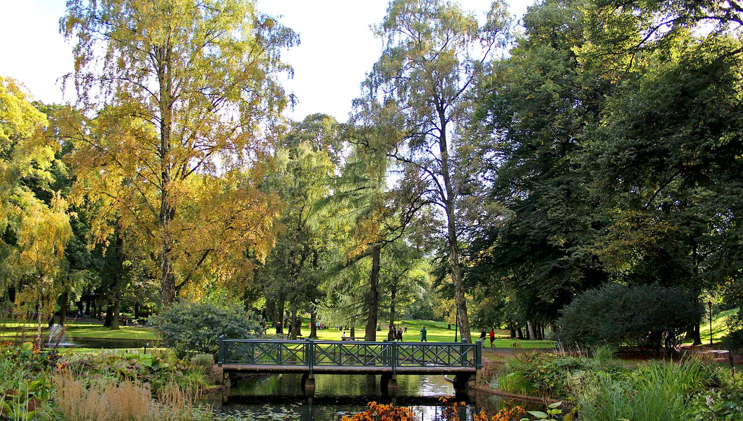 bridge in the palace park