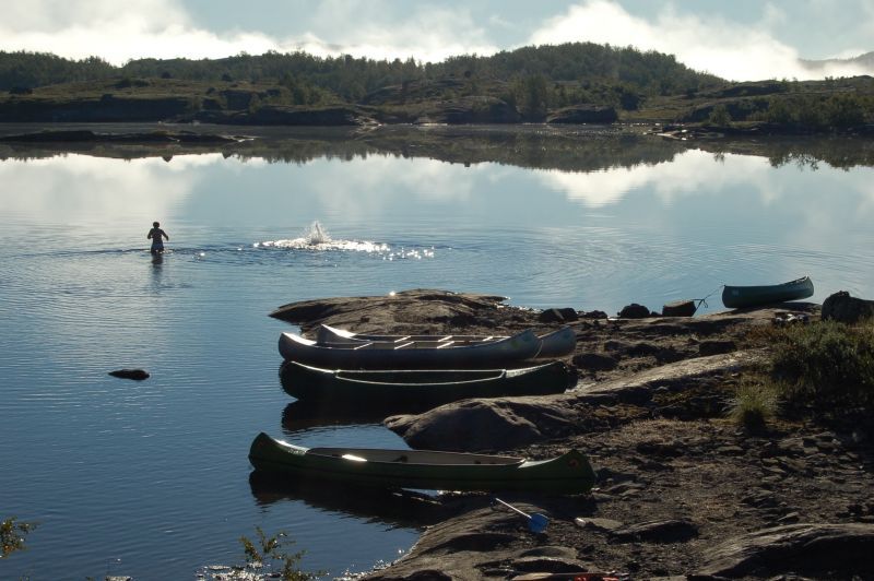 Fjellvann