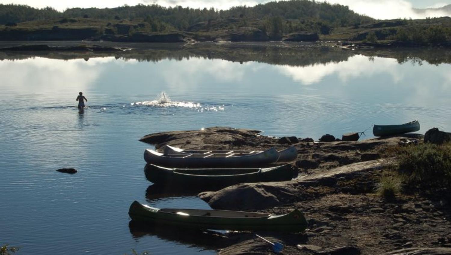 Fjellvann
