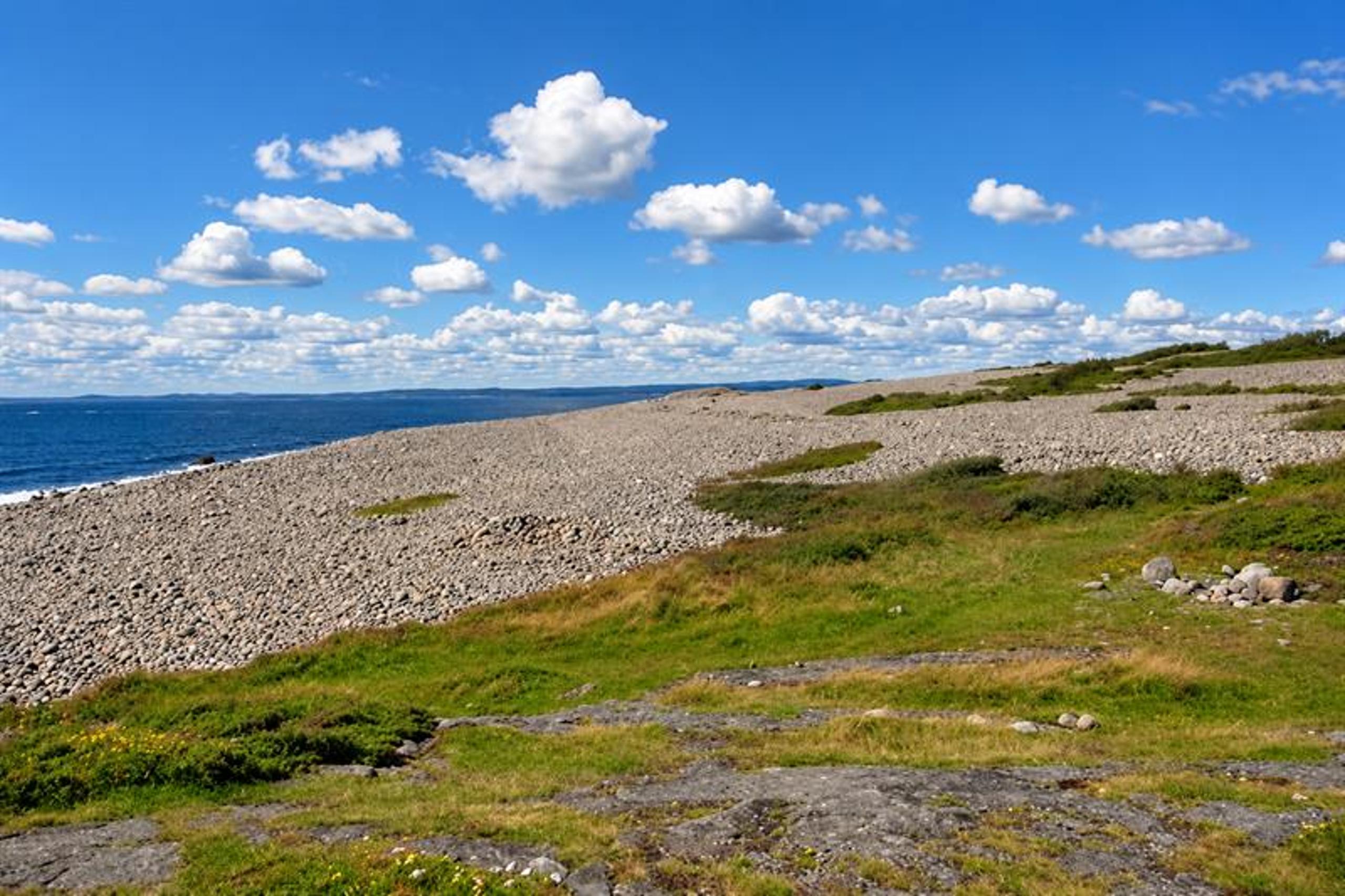 Lang rullesteinstrand med lav vegetasjon og utsikt over havet under en blå himmel.