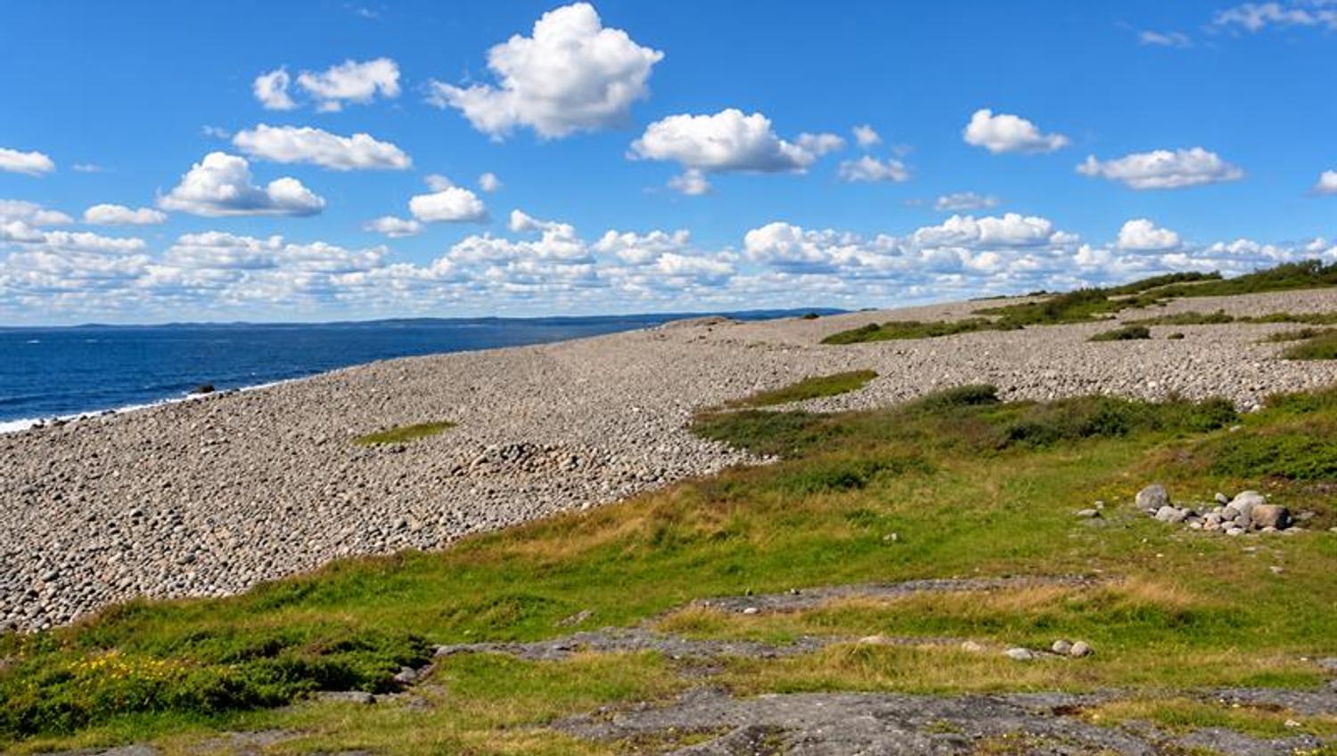 Long pebble beach with low coastal vegetation and views across the sea beneath a blue sky.