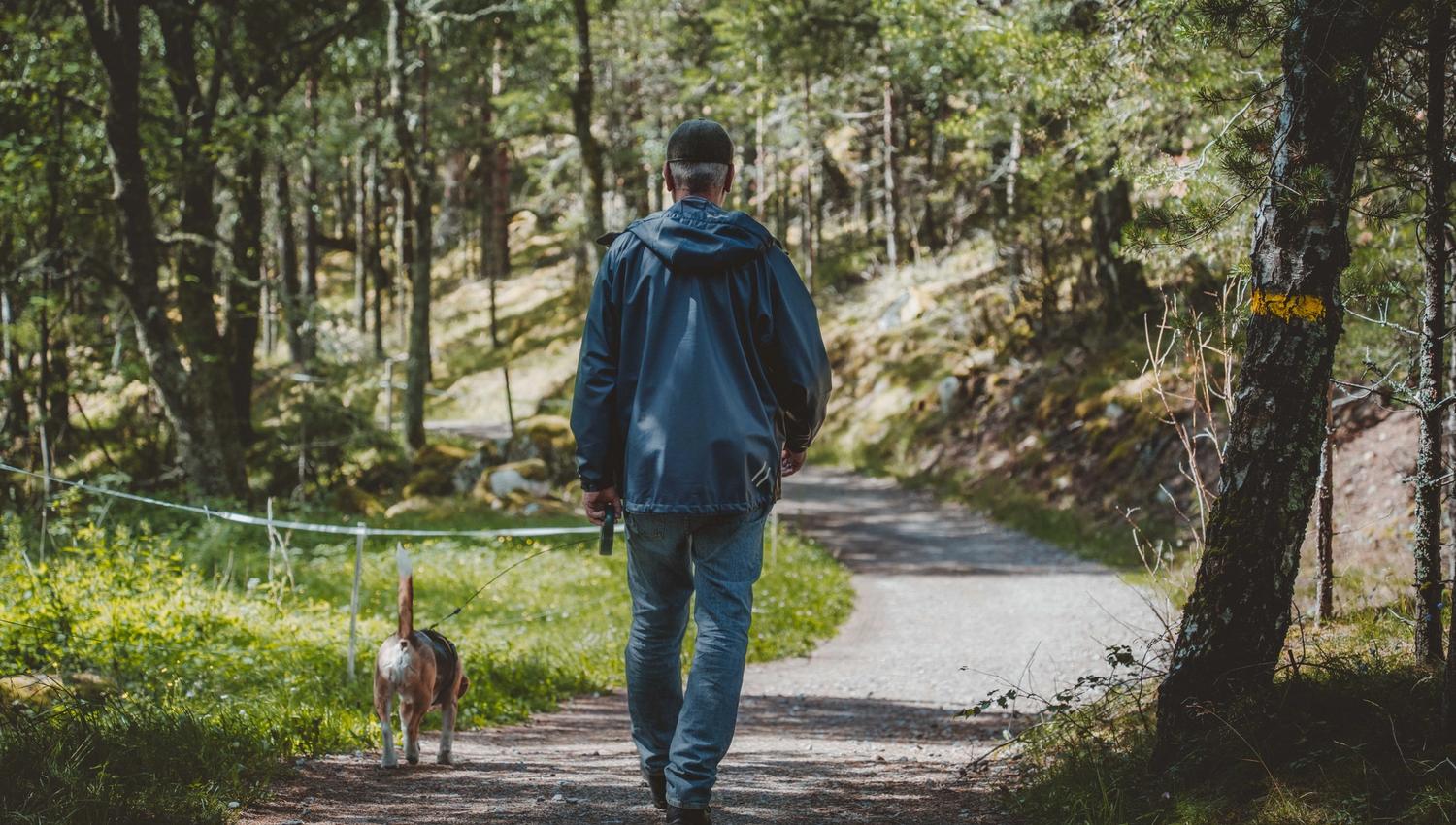 A man walking his dog on a gravel path in the woods.
