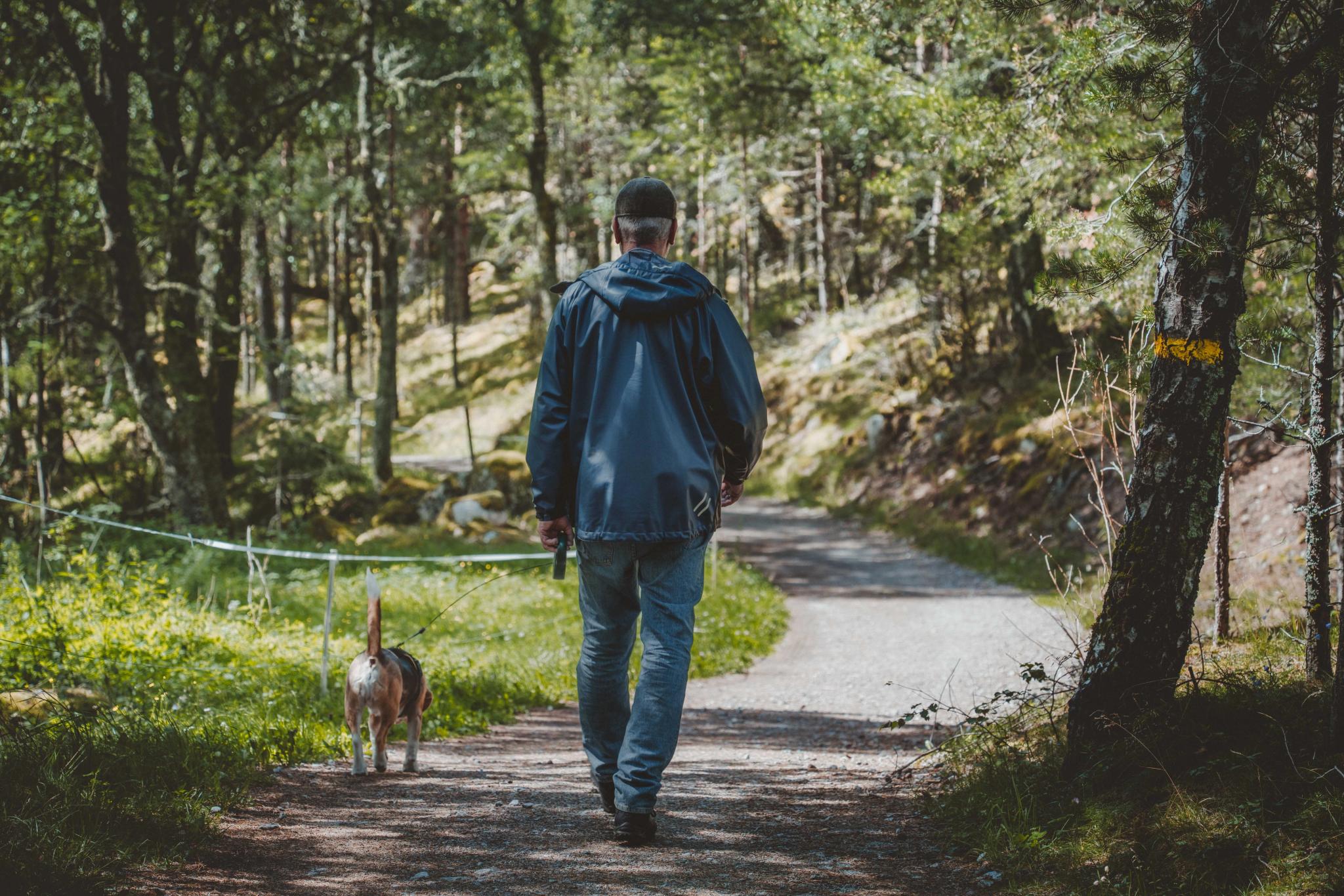 A man walking his dog on a gravel path in the woods.