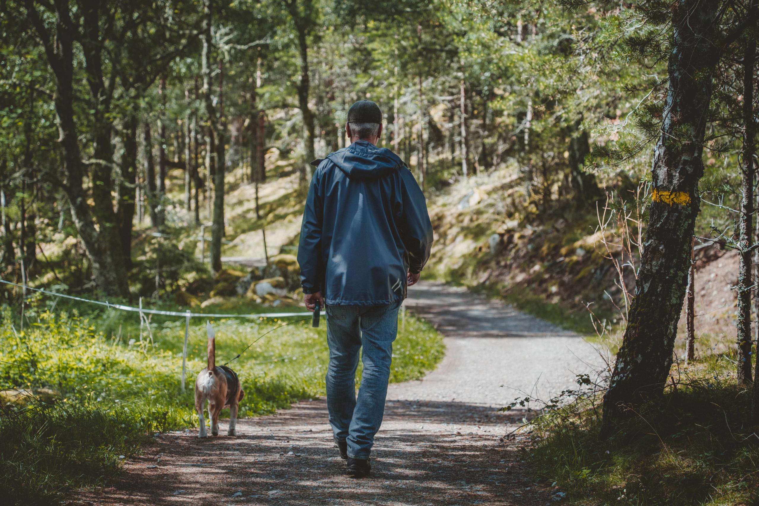 A man walking his dog on a gravel path in the woods.