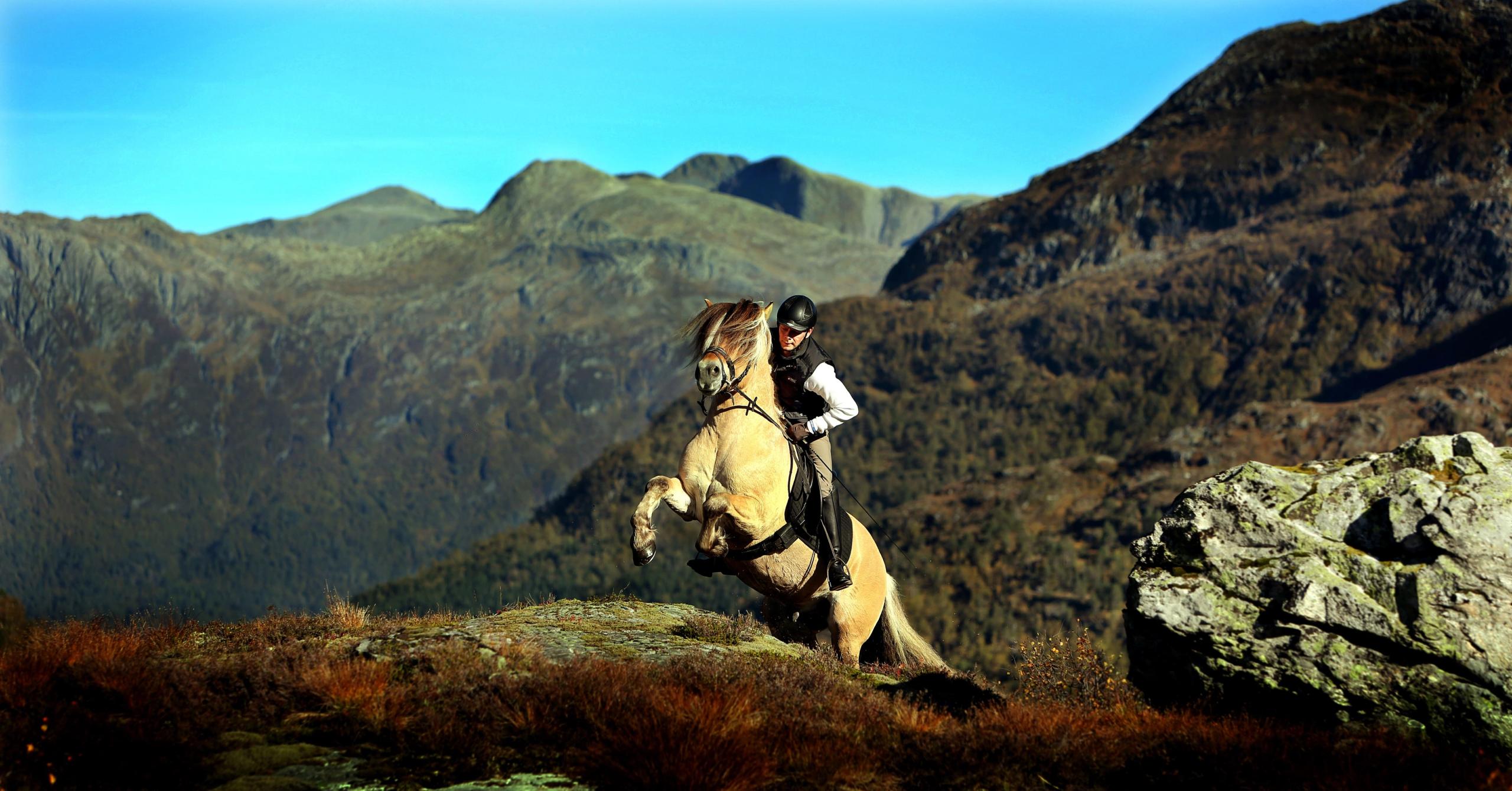 Riding classes | Norsk Fjordhestsenter