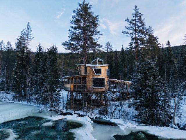 tree top cabin at Å Camp