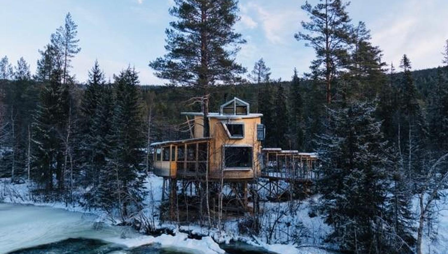 tree top cabin at Å Camp