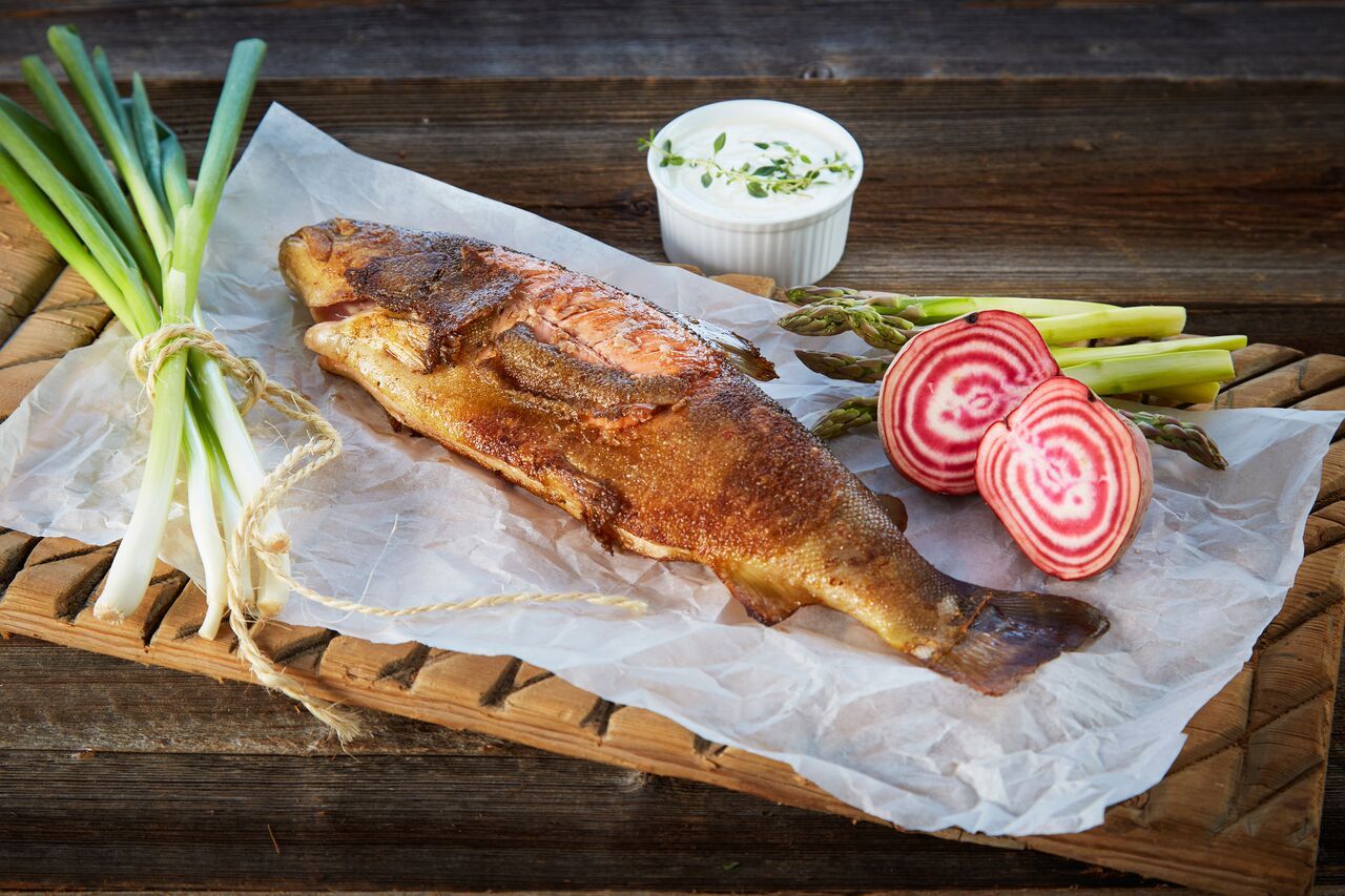 Trout