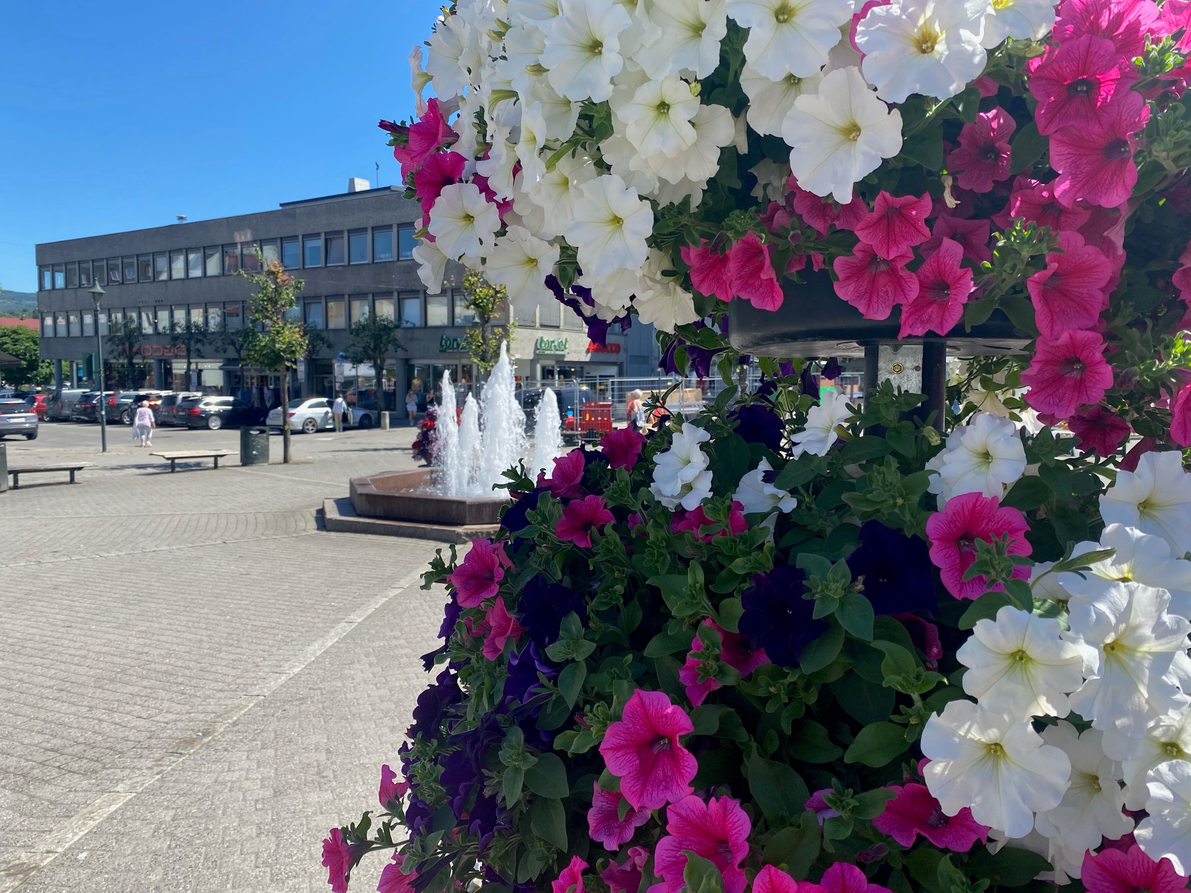 Blomster langs Kulturrunden Hønefoss