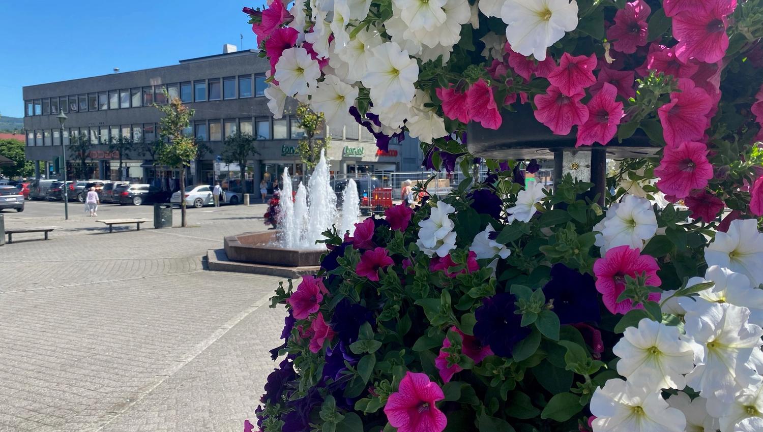 Blomster langs Kulturrunden Hønefoss