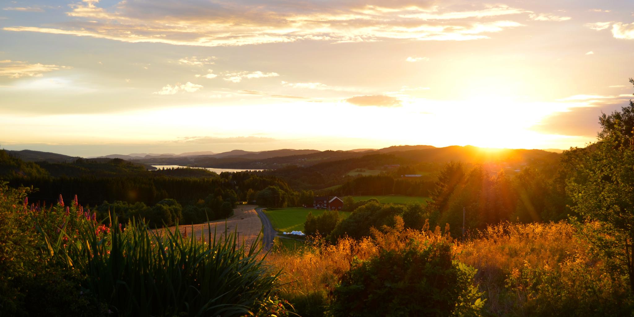 Troset i Levanger Kommune: solnedgang