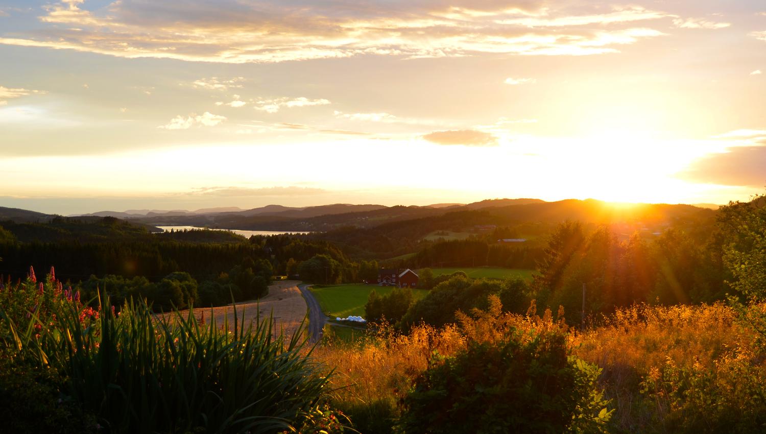 Troset i Levanger Kommune: solnedgang