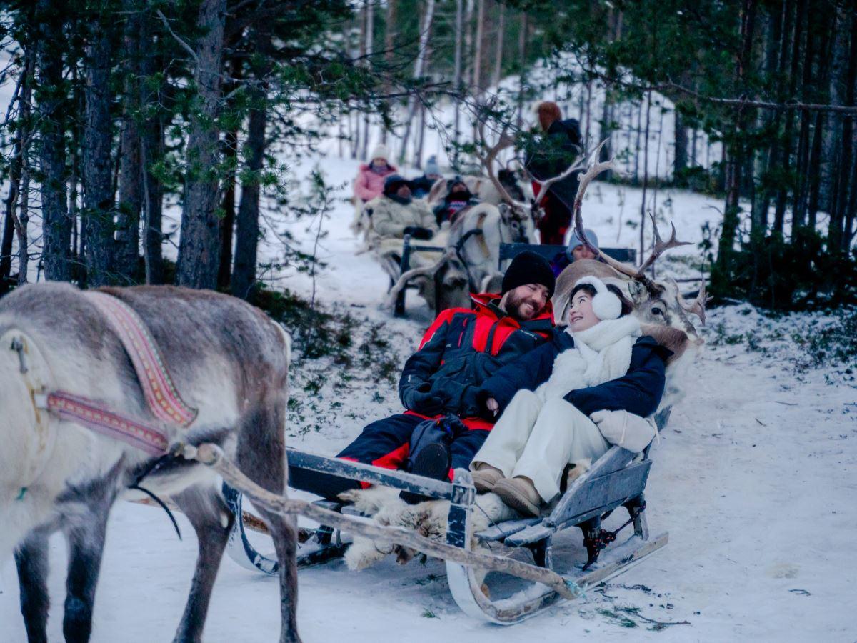 Reindeer Encounter & Sámi Culture Experience - The Samiway