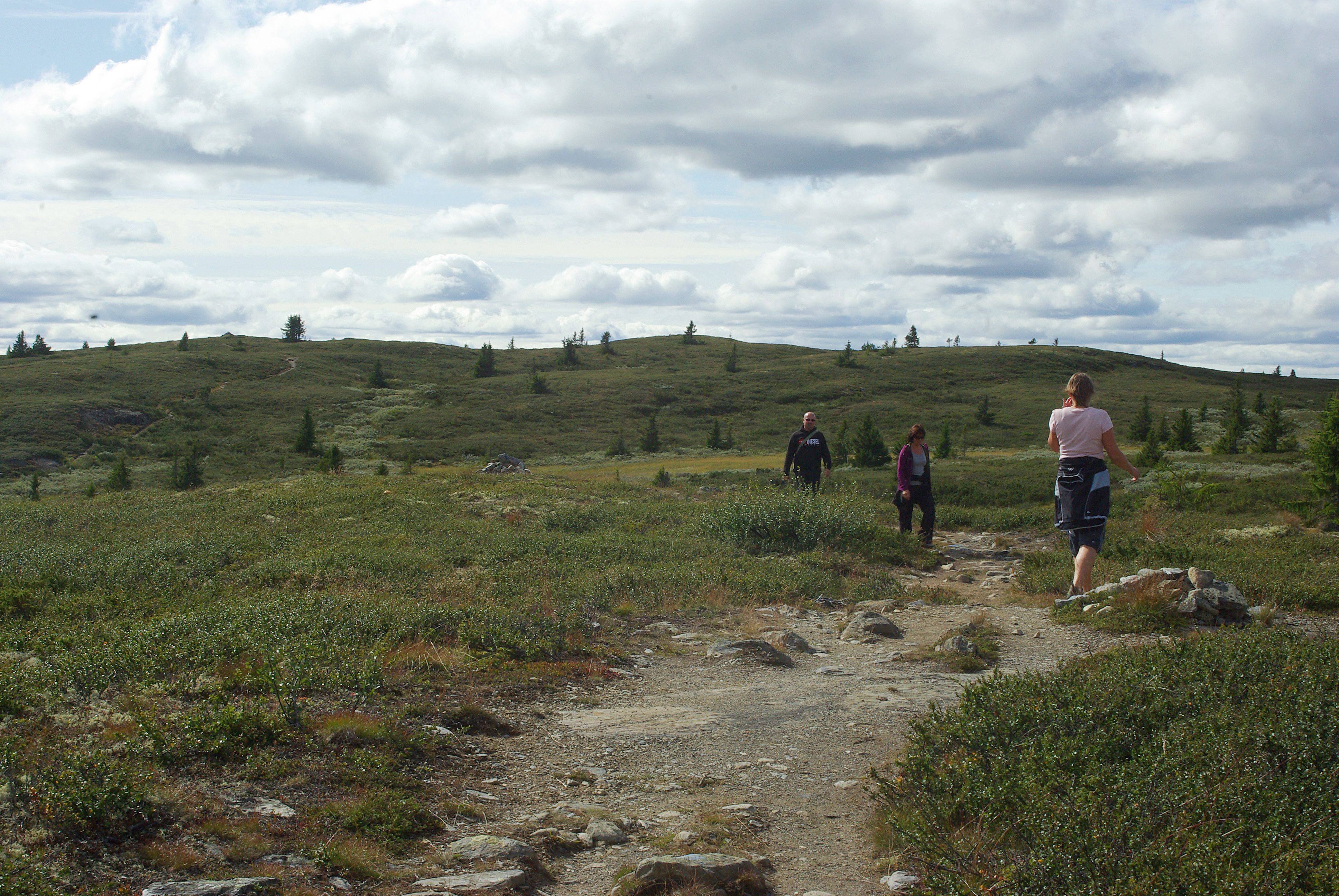 Stien til Veslefjell, Golsfjellet
