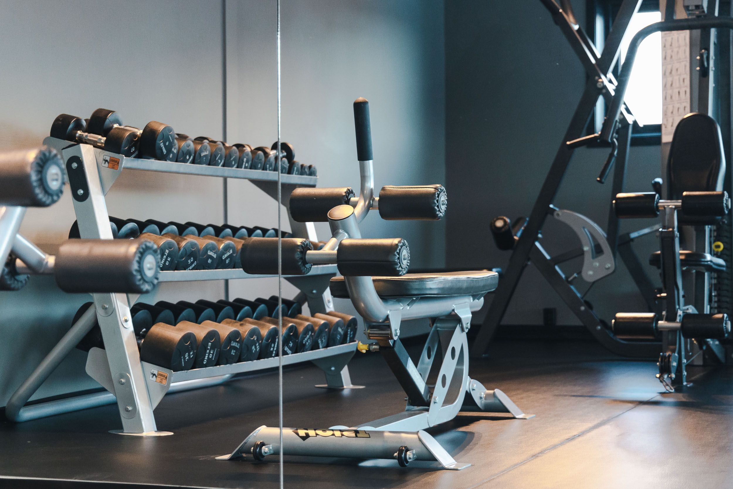 Gym med vekter