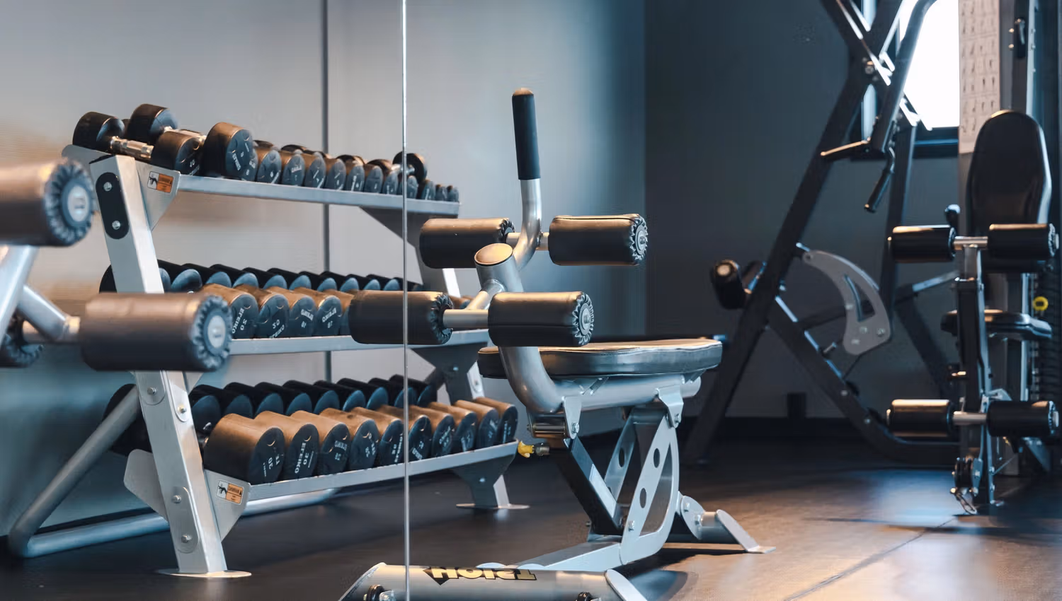 Gym med vekter