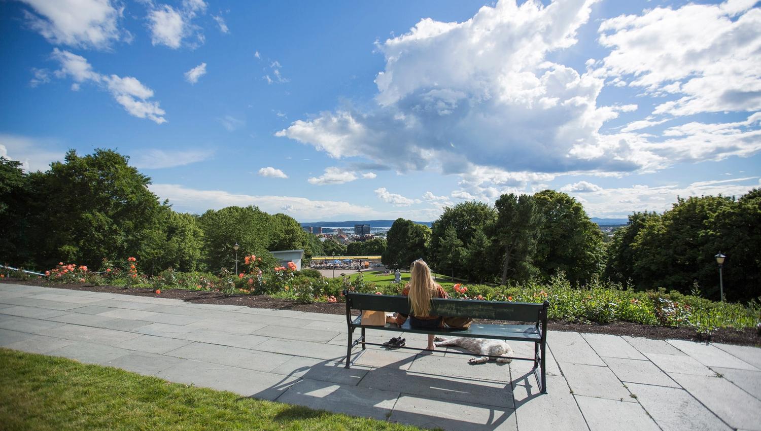 Lady sitting on a park bench with a dog looking at the view of the city