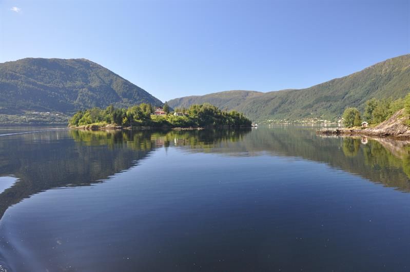 The Fjords - fjordcruise and fishing on your own!