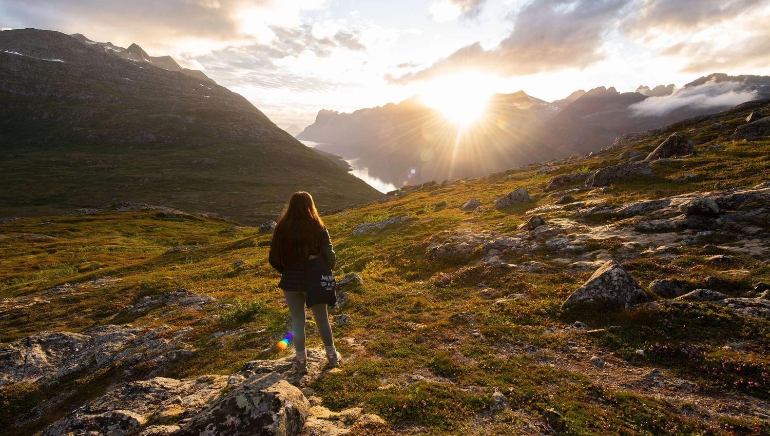 A person looking at the midnight sun