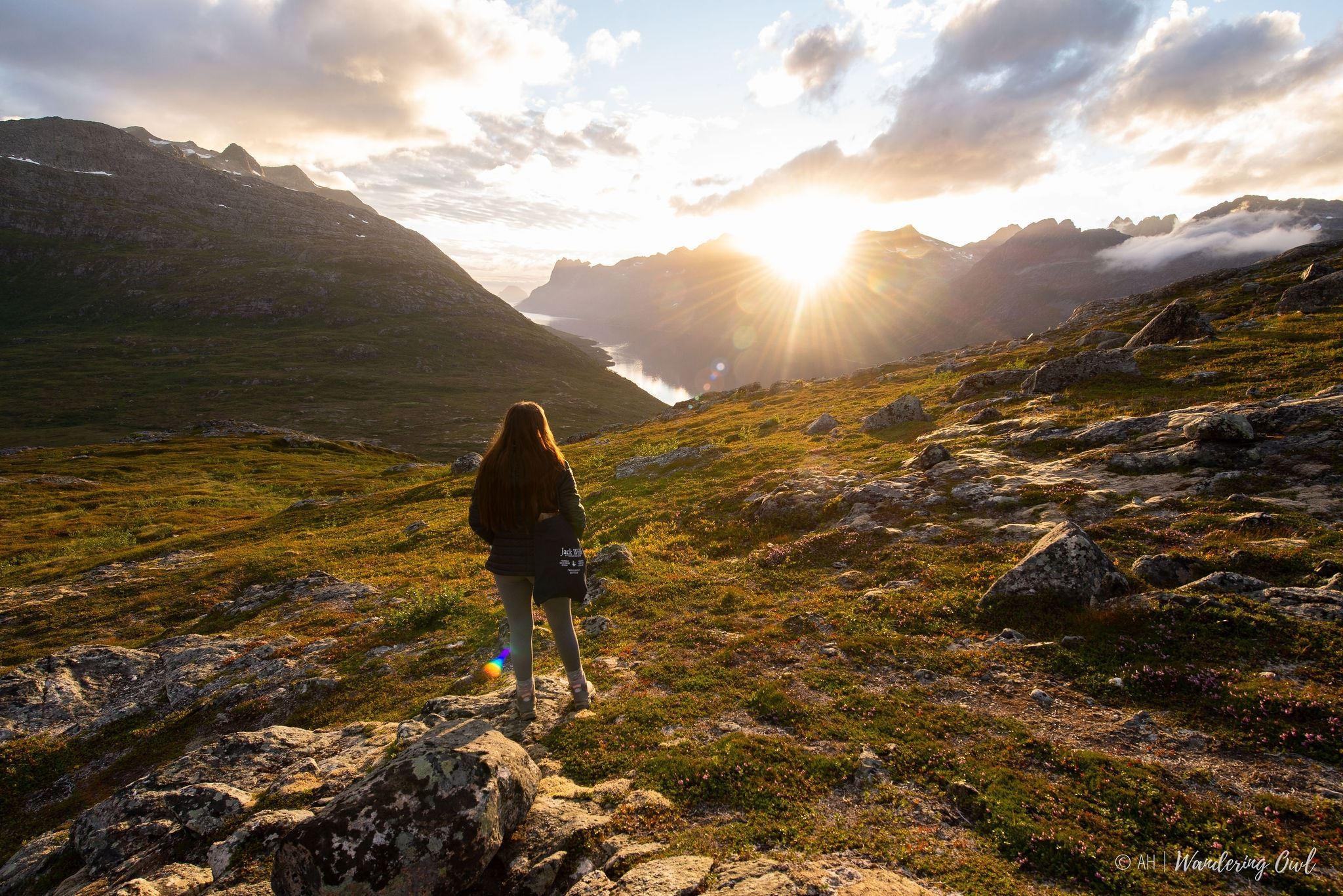A person looking at the midnight sun