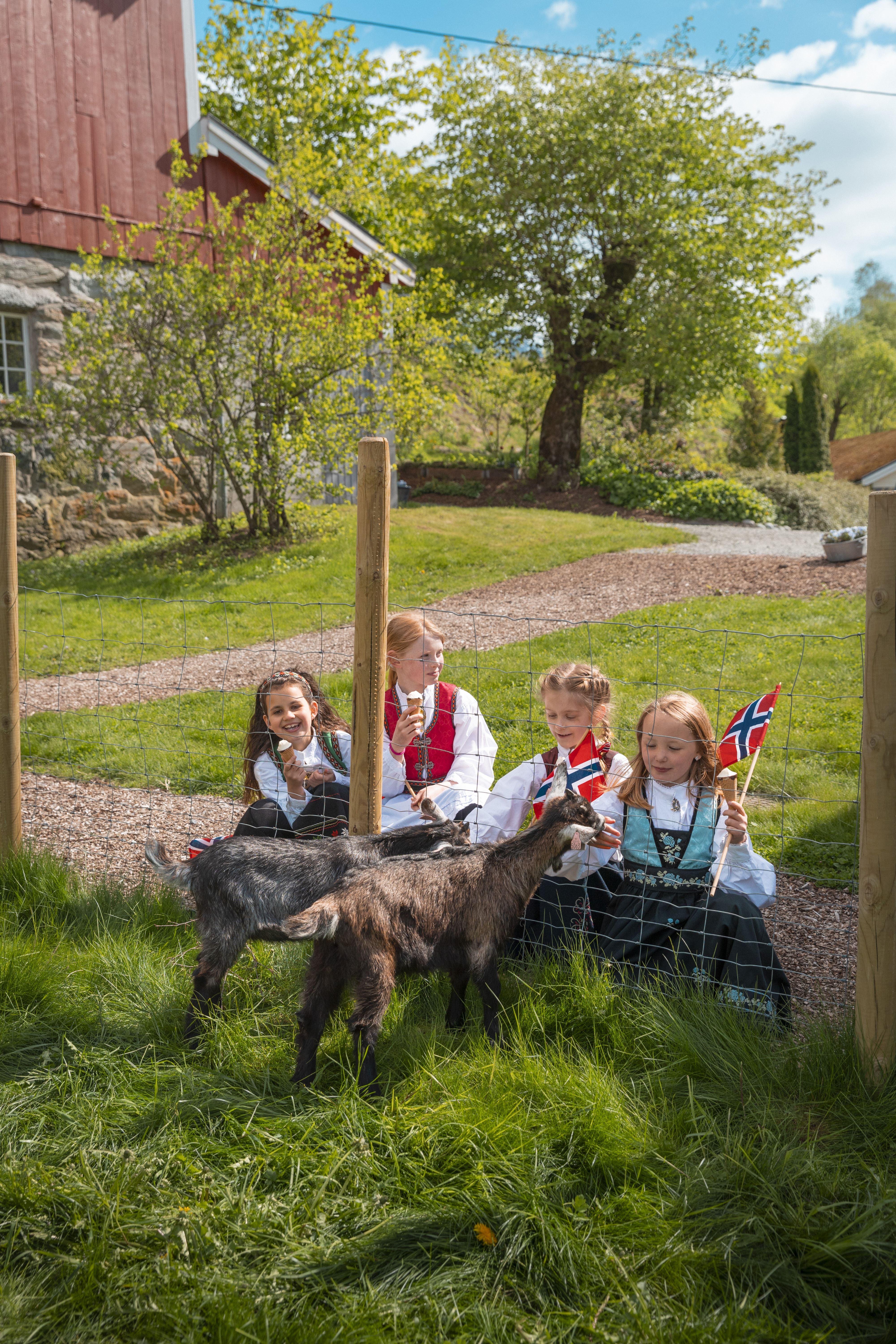 Four children in traditional clothing sit behind a wire fence, feeding two goats on a sunny farmyard lawn.