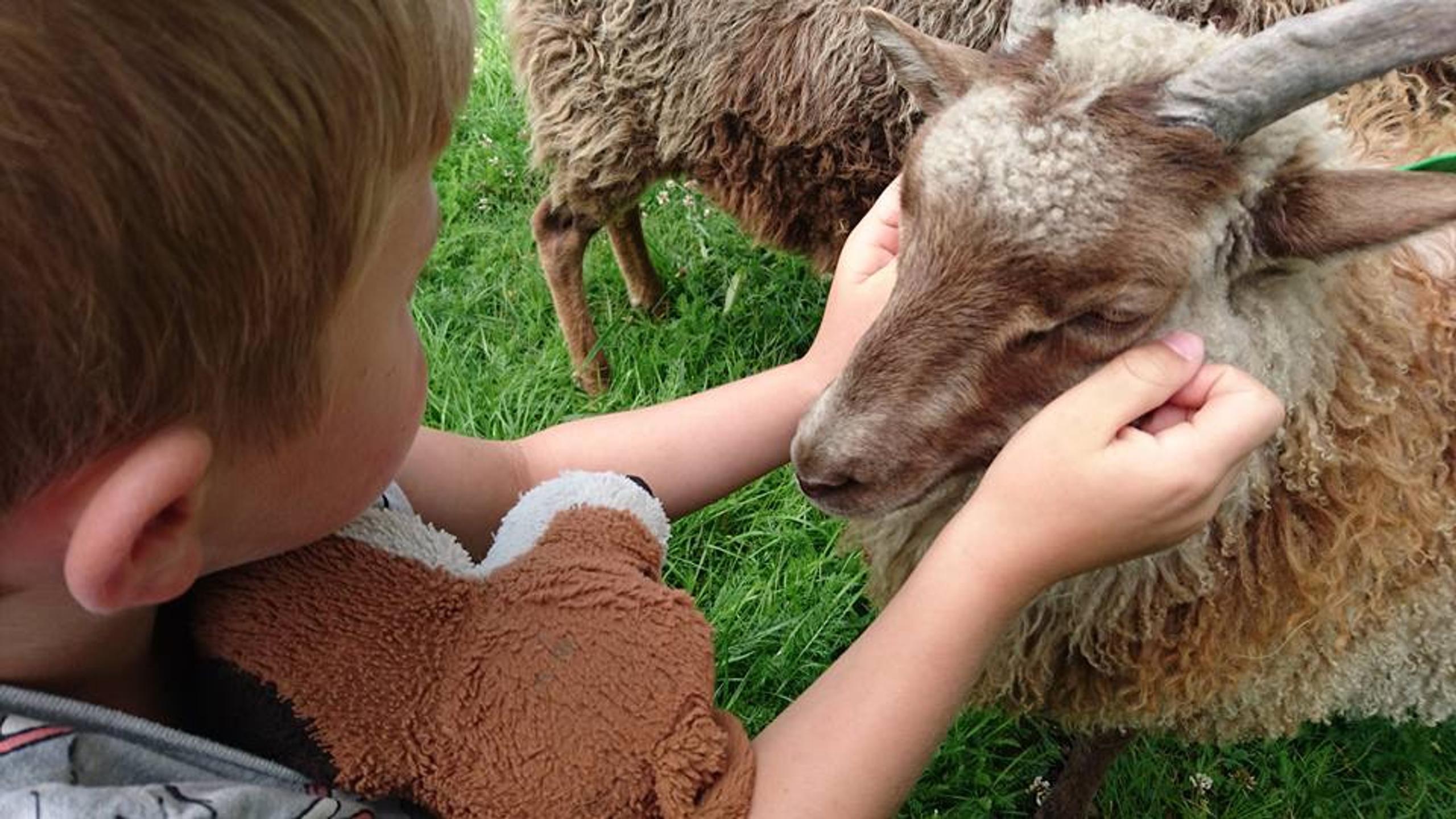 Someone who cuddles with a farm animal
