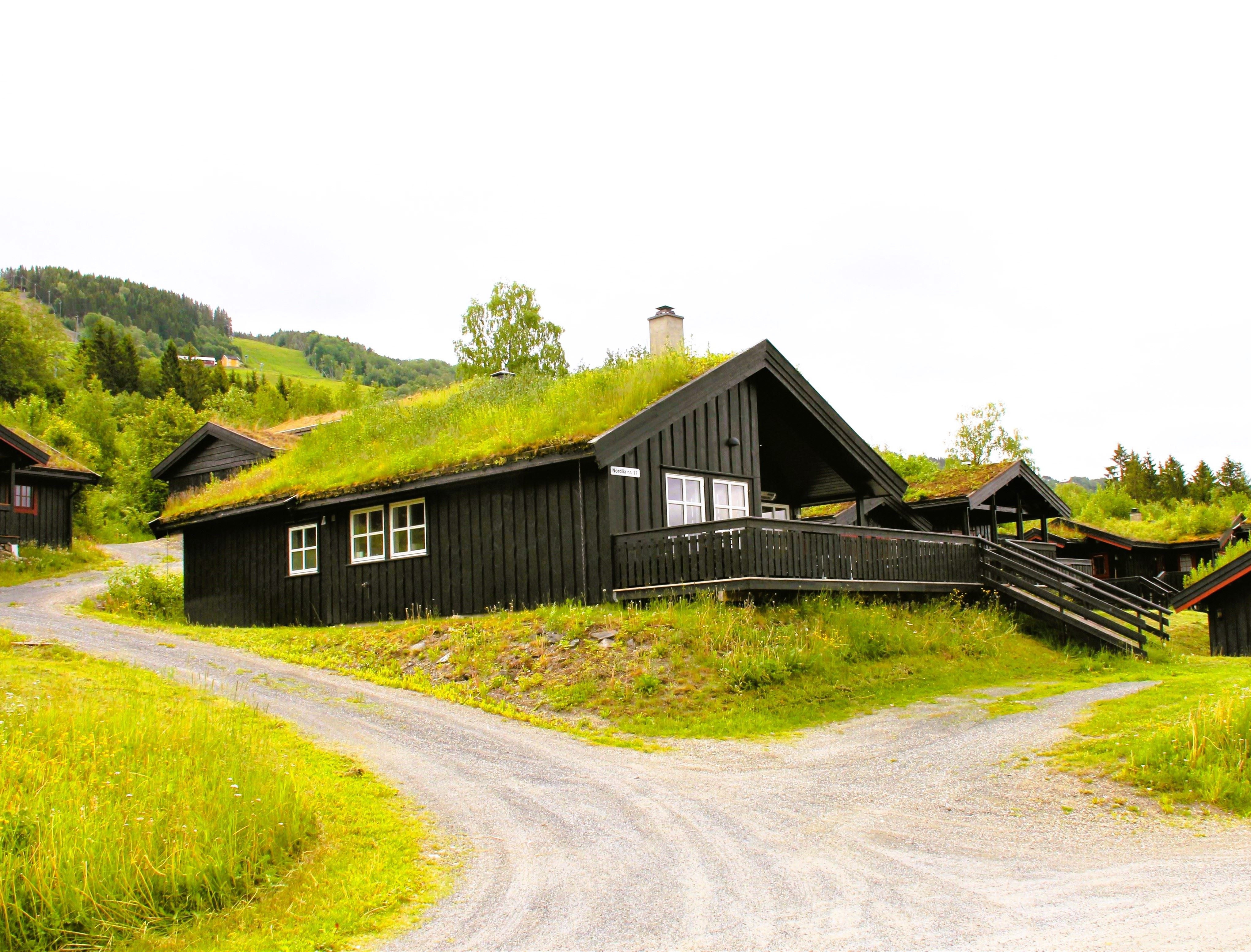 Nordlia 17