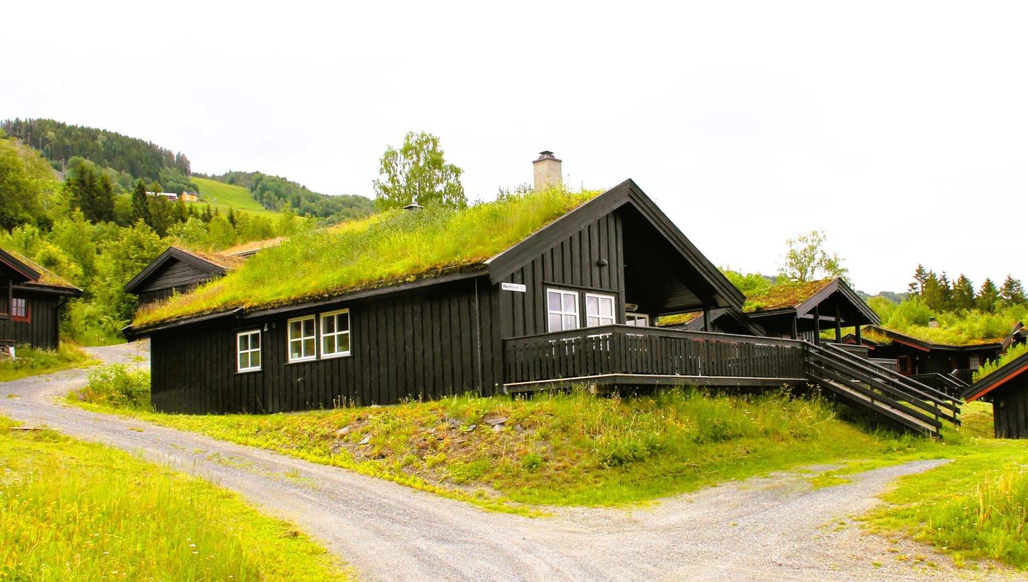Nordlia 17