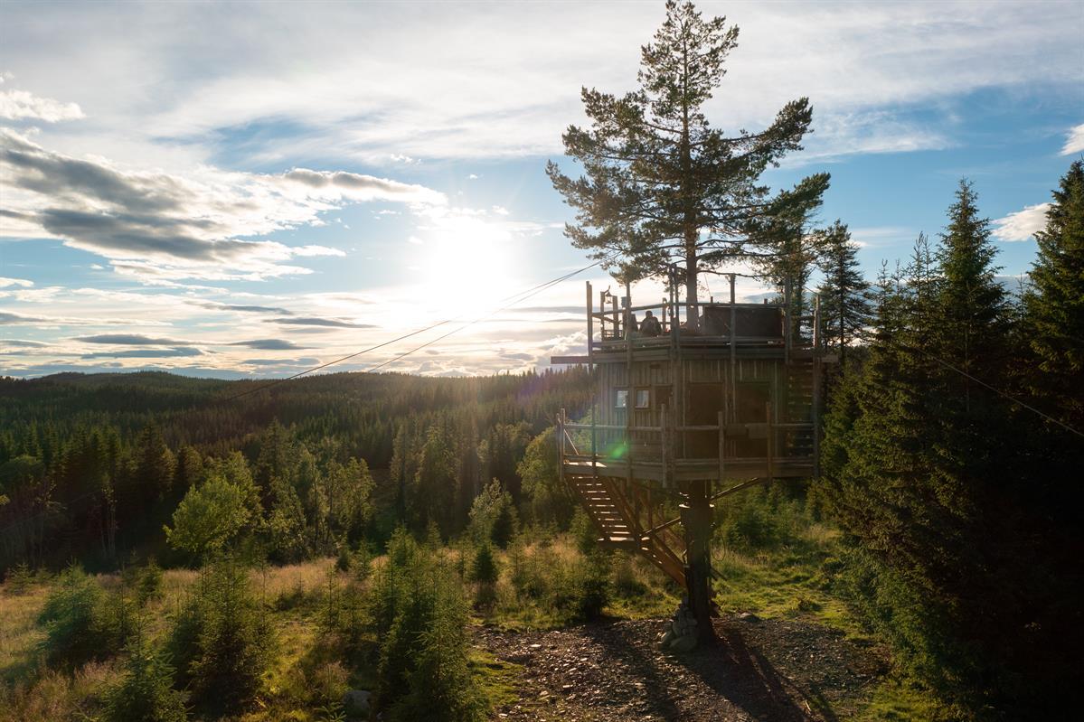 Tree top cabins in Brumunddal