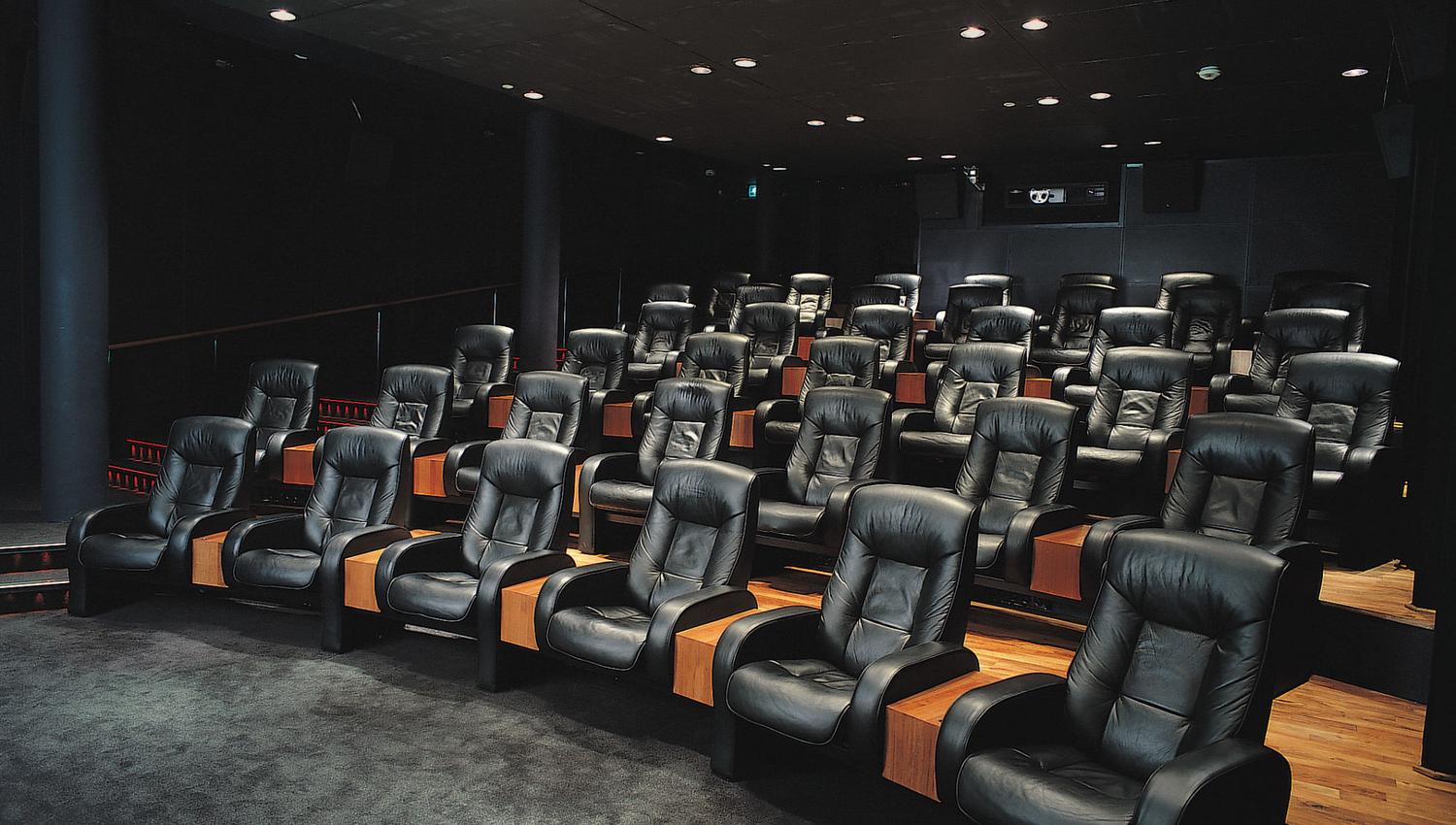 The Luxury movie theatre