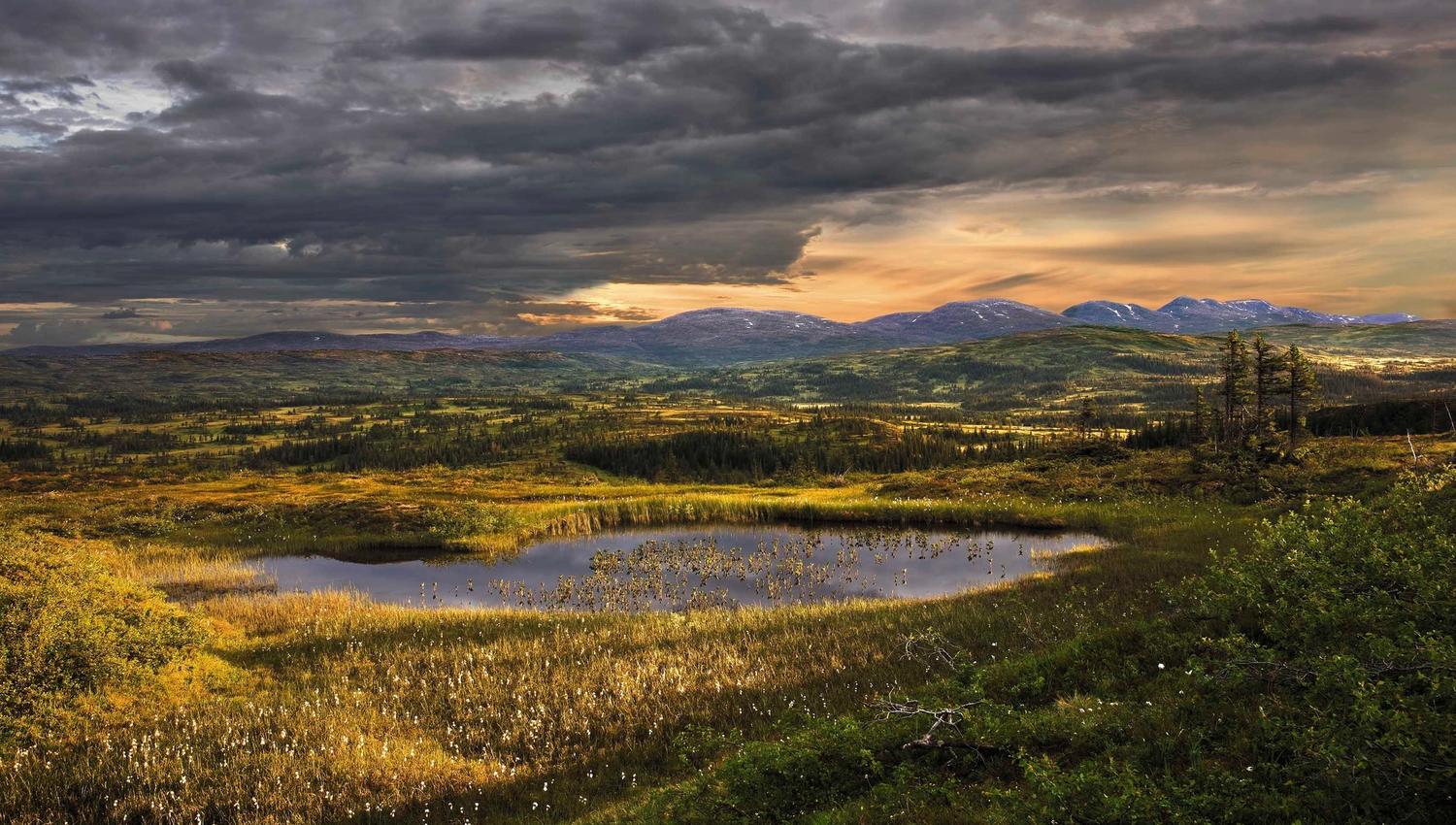044 Tverrå Skjækerfjell 01 09-B