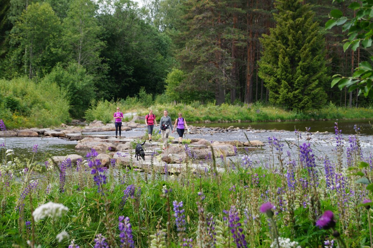 group of young people walking the Bufjordstigen at Dalen
