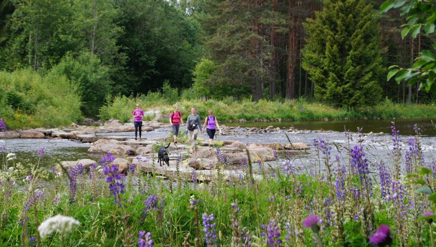 group of young people walking the Bufjordstigen at Dalen