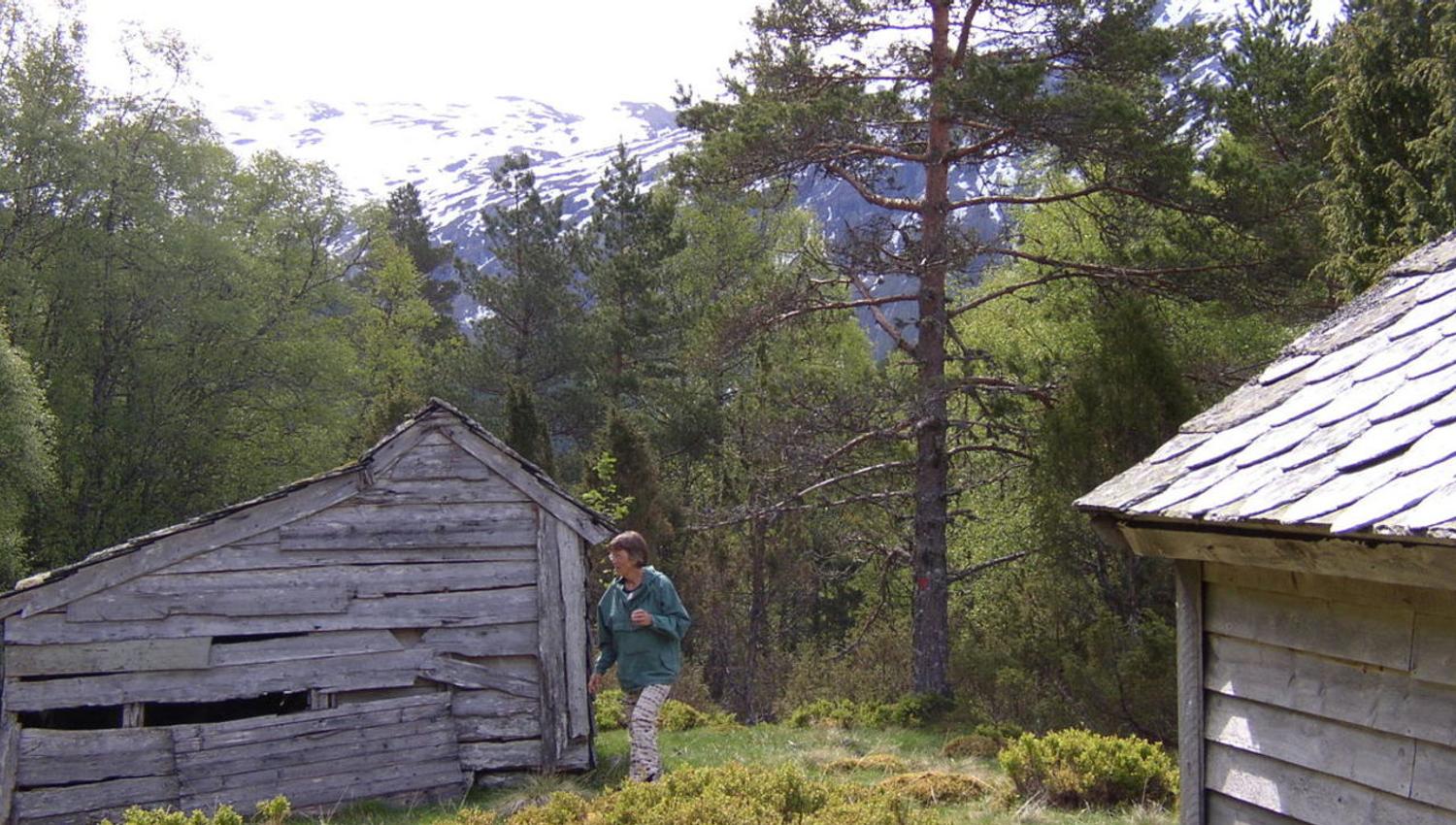 Ved stølen Klepp