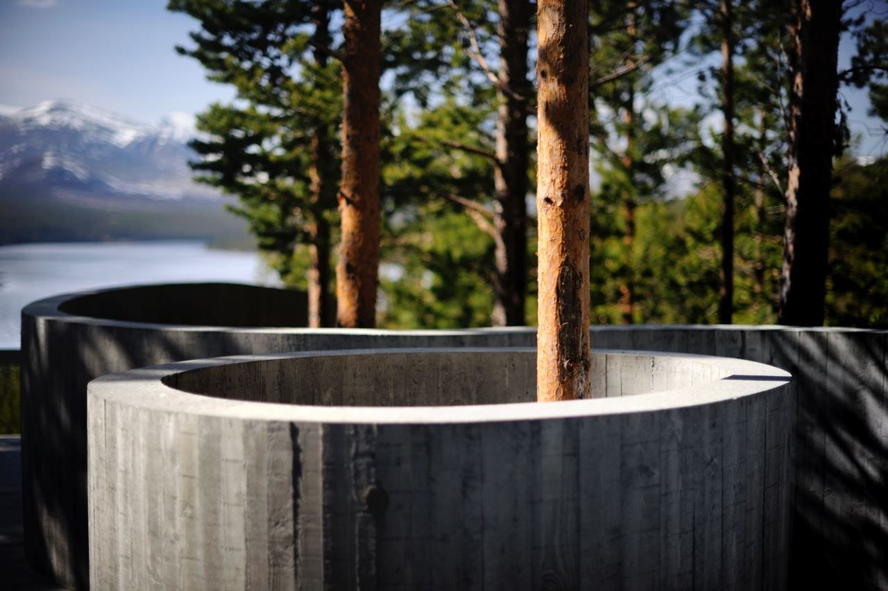 Detalj av Sohlbergplassen, Nasjonal turistveg Rondane. Trærne ved plassen har blitt vernet på beste måte. 