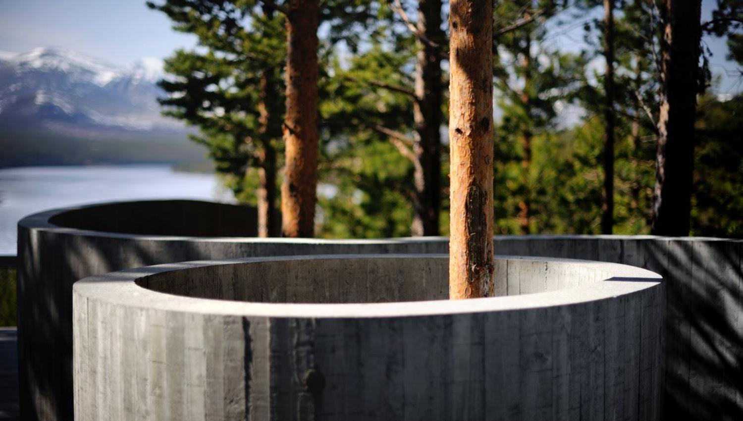 Detalj av Sohlbergplassen, Nasjonal turistveg Rondane. Trærne ved plassen har blitt vernet på beste måte.