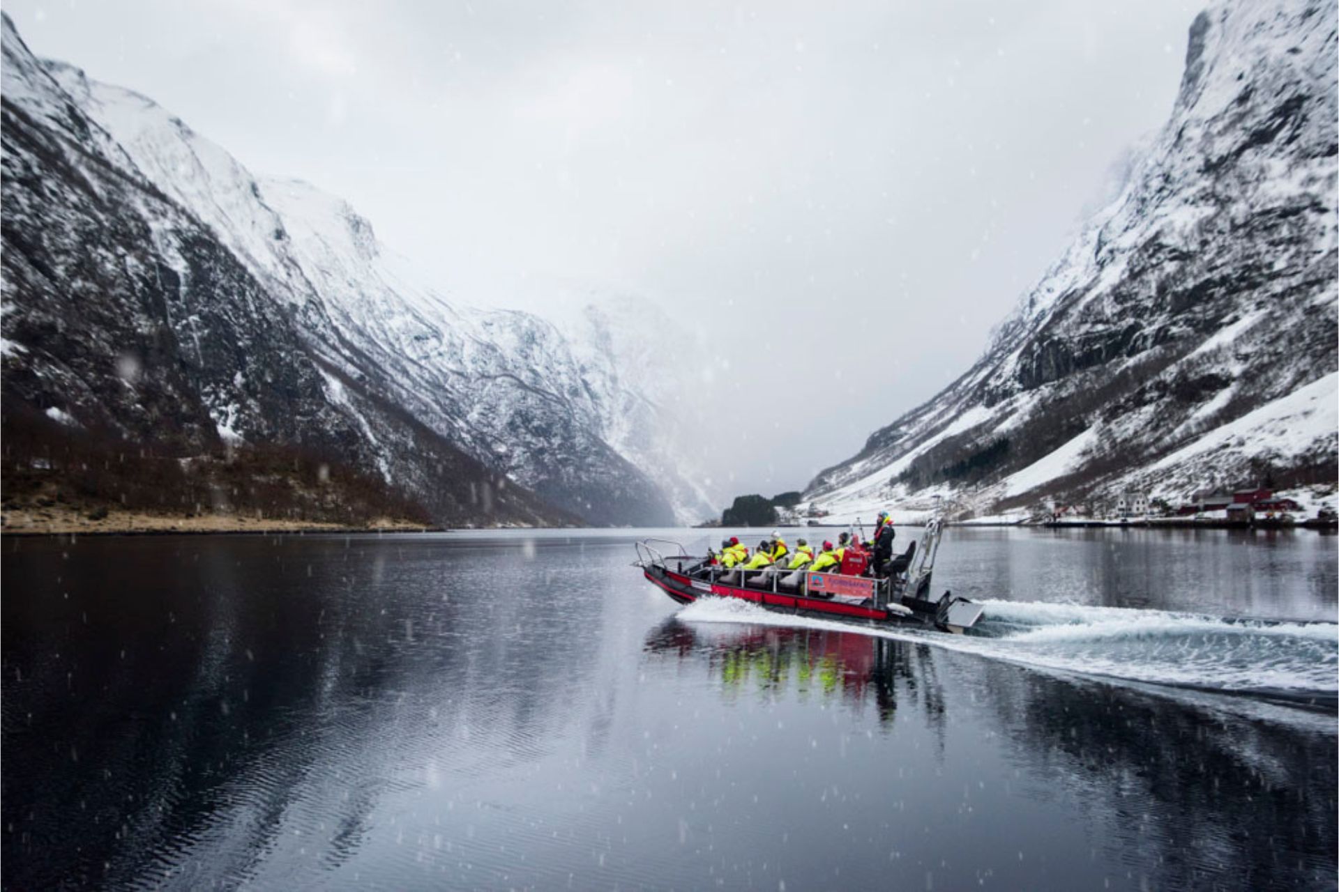 Vinter FjordSafari