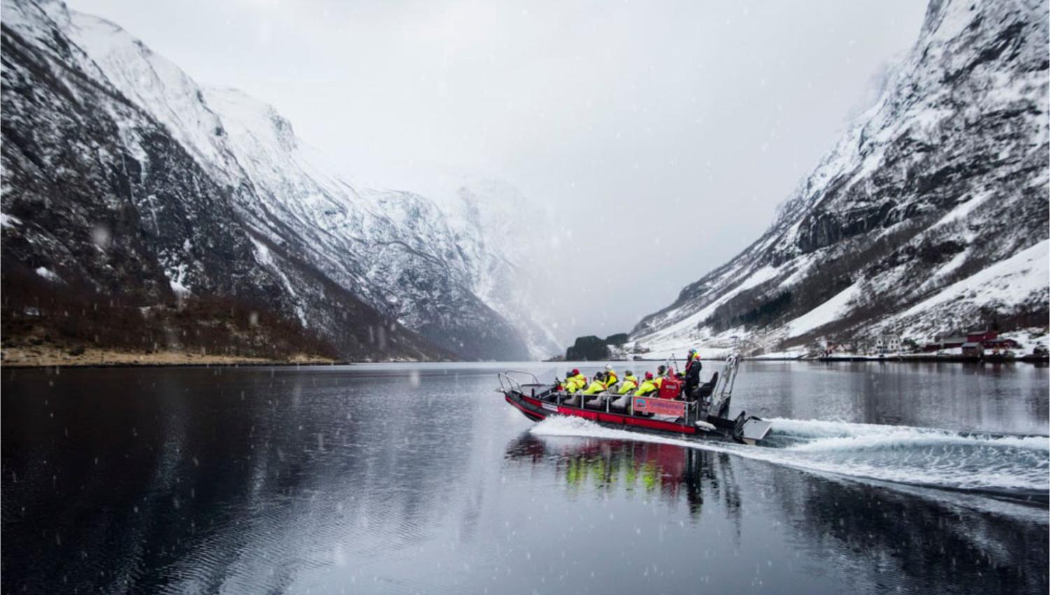 Vinter FjordSafari