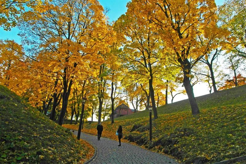 Autumn photo of yellow trees and people standing on a walkway.