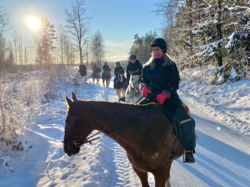 Person sitter på en hest i et vinterlandskap med snø og frost på trærne