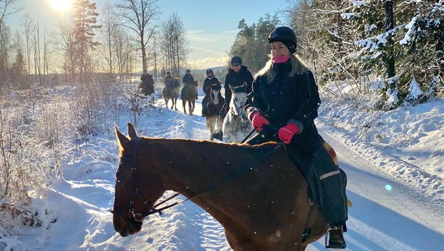 Person sitter på en hest i et vinterlandskap med snø og frost på trærne