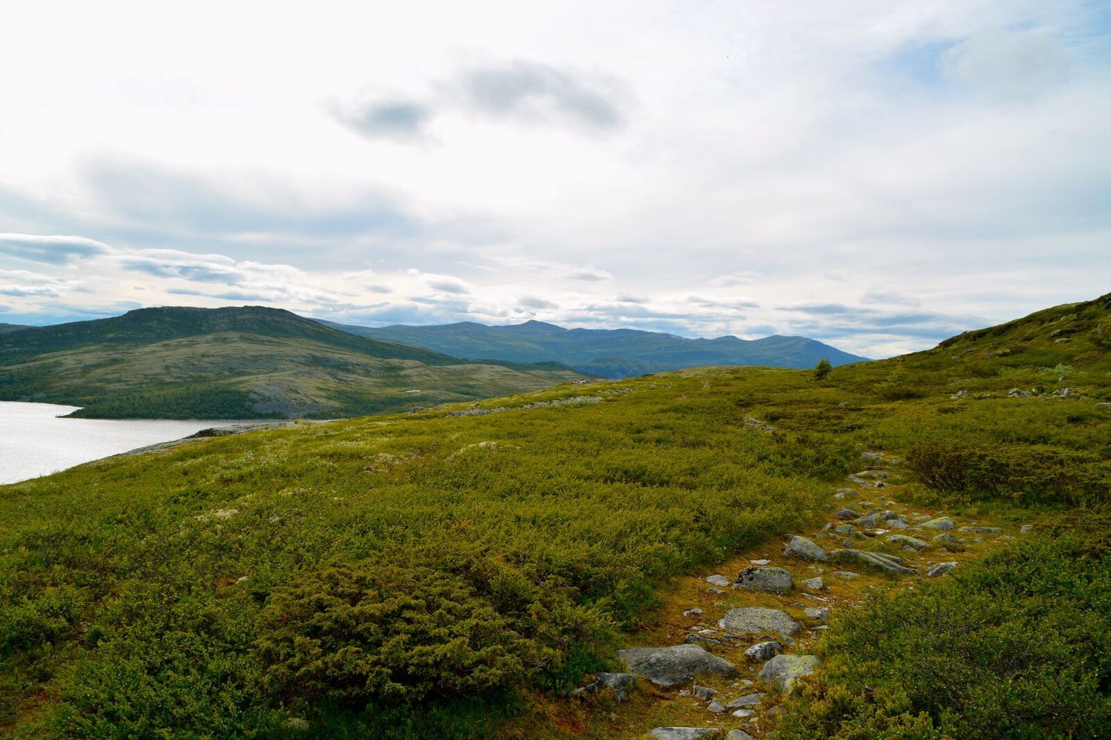 Flaksjølihøgda